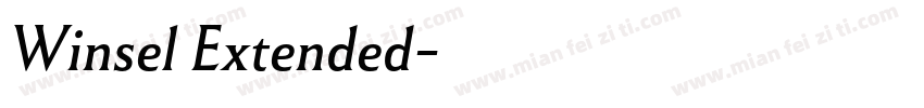Winsel Extended字体转换